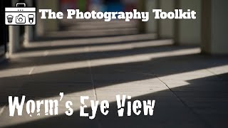Perspective - Worm's Eye View - The Photography Toolkit