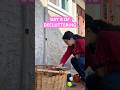 backyard #declutter ✅ #vlogmas 🎄