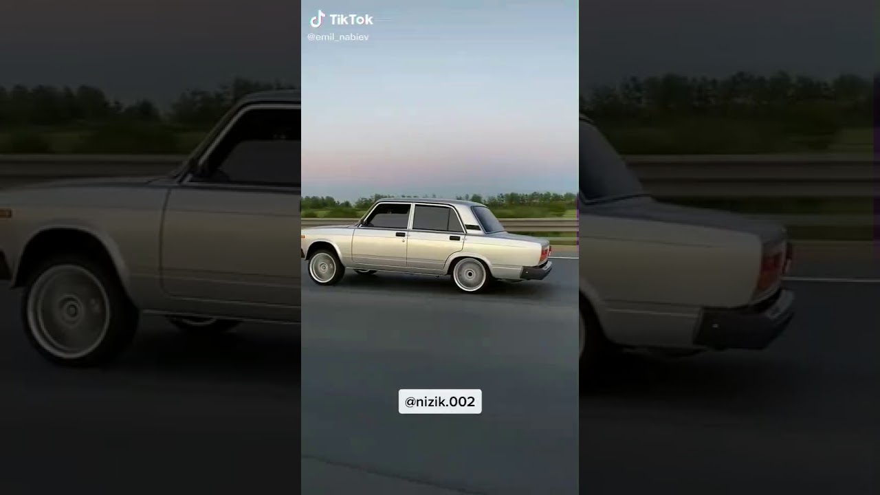 Все виды ваз 21