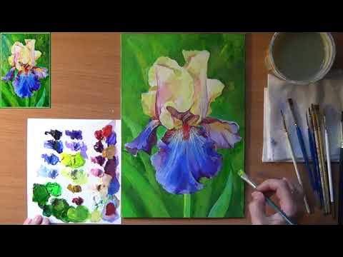 Как нарисовать ирис. Рисуем ирис бородатый. Ирис желто- синий. Акрил ...