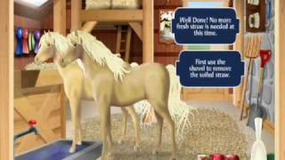 Bella Sara - Friends