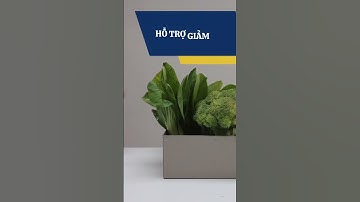 4 lợi ích tuyệt vời của cải thìa  - GC FOOD #gcfood #venhaancom #caithia #loiich #rauxanh #songkhoe