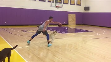 Klay Thompson challenges dog to one-on-one game | ESPN[野球]