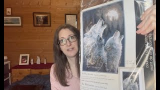 Flosstube #36 - WIPs, haul, big changes + a Norwegian stitch shop