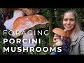 Foraging Porcini Mushrooms (and drying them)