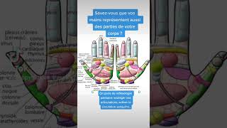✋💎💪#reflexologie #palmaire #recommanded #naturopathy ✋💎💪#reflexologie #palmaire #recommanded #naturopathy