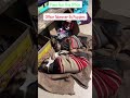 This office now runs on paws