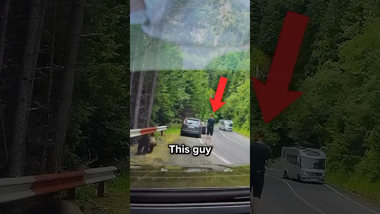 This Guy Has Zero Survival Instincts