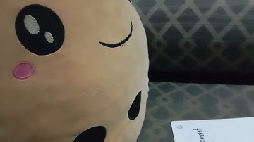 Voidable Defective Contracts Puppet show