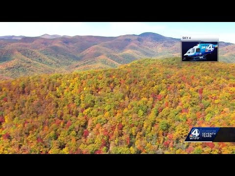 Fall foliage along Blue Ridge Parkway in North Carolina