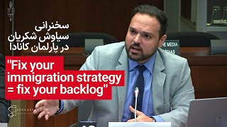 Siavash Shekarian S Testimony In Parliament On Immigration Backlog And Delay