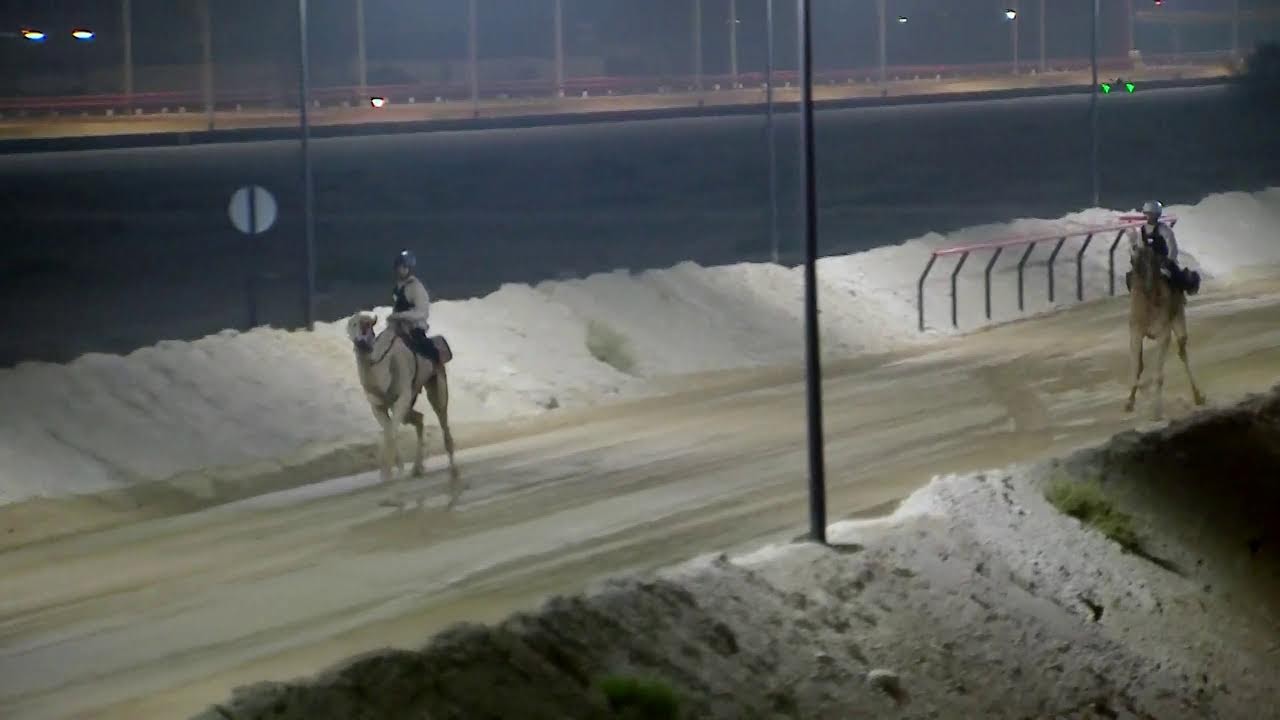 برنامج الميدان 19 (اليولة ) ح5 موسم 2023-2024