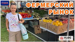 Фермерский рынок / Овощи, фрукты и местные продукты / Низкие цены и хорошее качество / Флорида / США