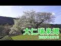 大仁瑞泉郷 2026年5月1日(令和8年5月1日 5月度ご面会 開式前配信映像)