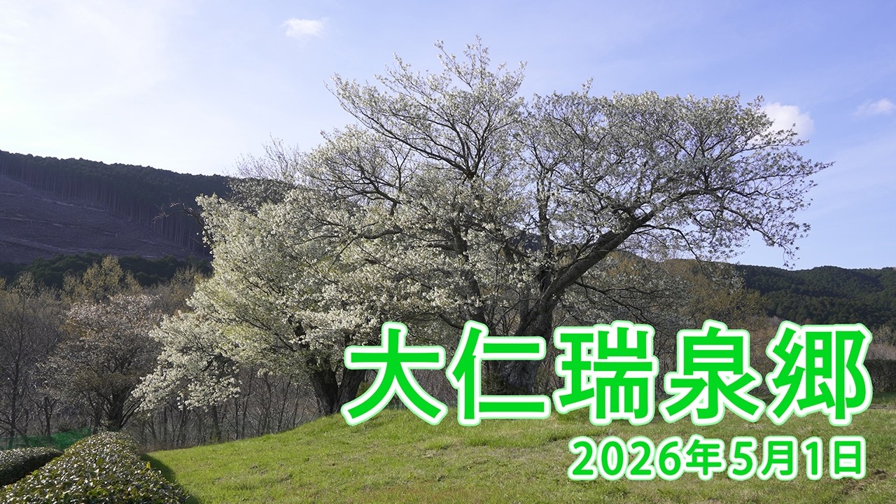 大仁瑞泉郷 2026年5月1日(令和8年5月1日 5月度ご面会 開式前配信映像)