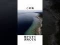 この海、岸からすぐ深海になる。