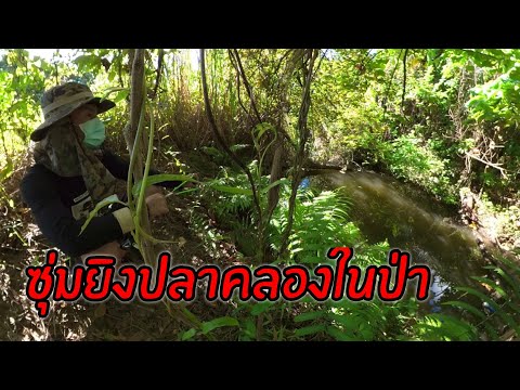 ตัวอยากให้โดน-ไม่-โดน-แล้วไปโด