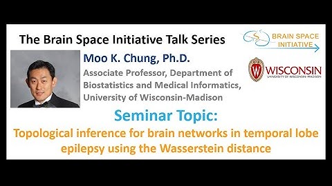 Topological inference for brain networks in temporal lobe epilepsy using the Wasserstein distance