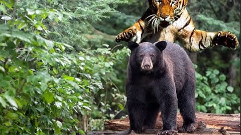 Photoshop CC Placing objects behind