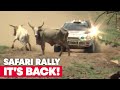 The Safari Rally Kenya Returns to the Calendar | WRC 2021