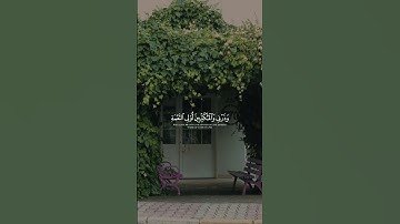 #القارئ عبد الرحمن مسعد #اكتب_شي_تؤجر_عليه #قرآن #اكسبلور #تلاوة_خاشعة #القرآن_الكريم #راحة_نفسية