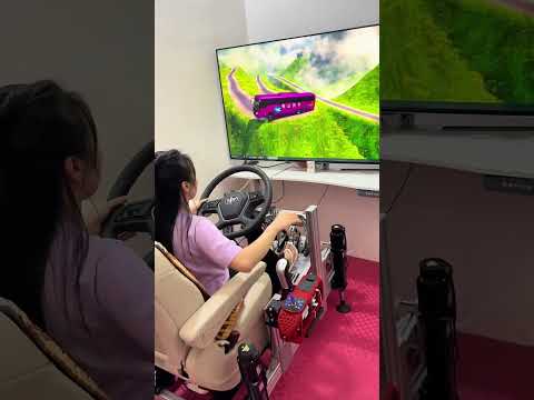 Euro truck simulator