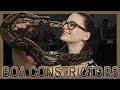 THE BASICS OF BOA CONSTRICTORS