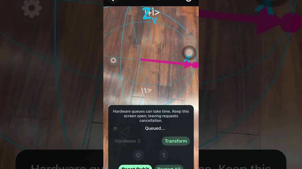 Guess the Qubit demo video
