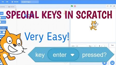 Special Keys In Scratch || How to use keys like @ $ # || How to use enter key in Scratch 3.0