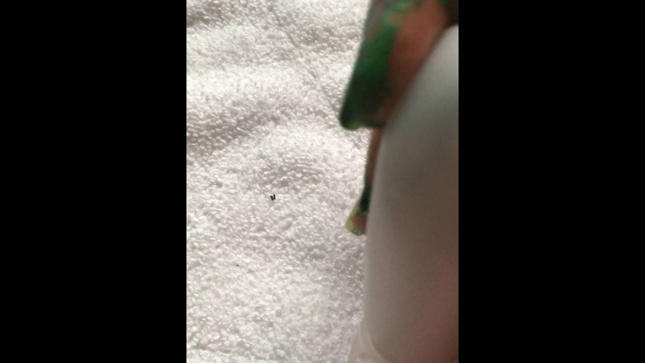 How to Clean Swarovski Jewelry Part 3 YouTube