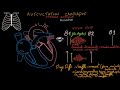 Auscultation cardiaque  souffles cardiaquesbruits surajoutsexercices  partie 2 docteur synapse