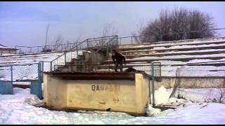 Kazi si Chibrit(PTA) 3Run Trailer  .mp4