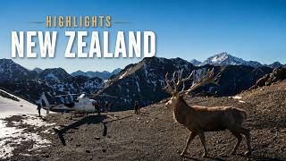 Hunting New Zealand - Short