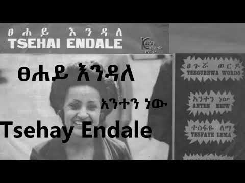 ፀሐይ እንዳለ አንተን ነው Tsehay Endale Anten New