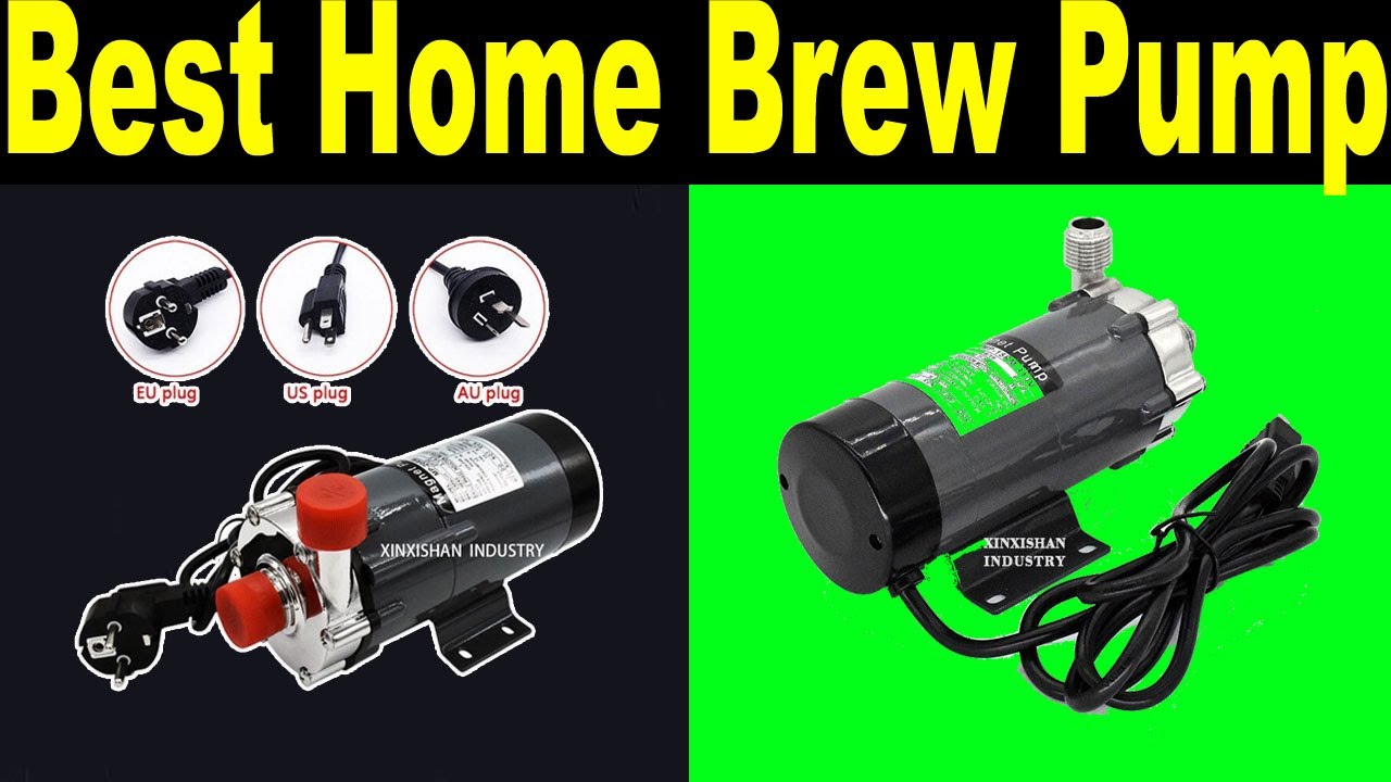 Top 5 Best Home Brew Pump Review 2021