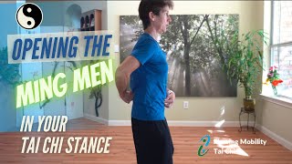 Opening the Ming Men Point; Life Gate in your Tai Chi Stance #mingmen #taichistance #posture screenshot 1