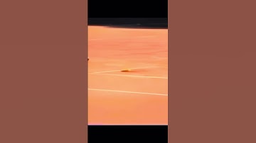 Andy Roddick Greatest Serve Ever???