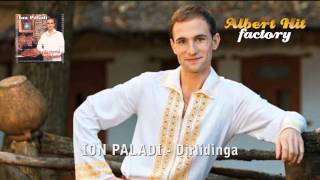 Video thumbnail of "Ion Paladi - Dirlidinga (official)"