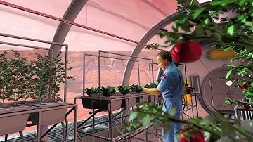 The Problem With Perchlorates on Mars | Video