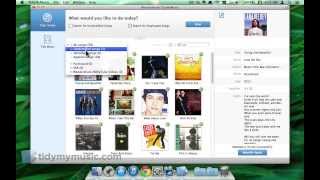 Add Lyrics to Music: How to Add Lyrics to MP3 iTunes Music on Mac? screenshot 5