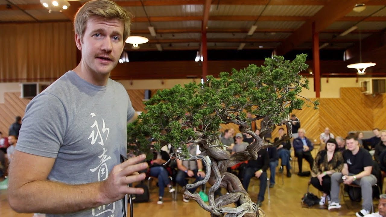 Bonsai demo by Bjorn Bjorholm YouTube