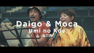Download Lagu daigo \u0026 moca // umi no koe MP3