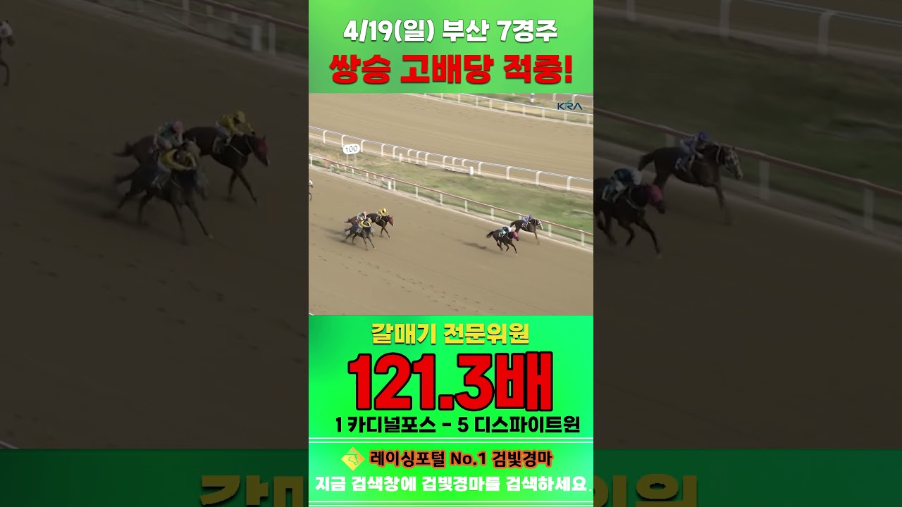 [부산 경마] 4월 19일 일요 7경주 갈매기 전문위원 쌍승 고배당 적중 #경마 #automobile #한국마사회 #horse #하이라이트 #비트코인 #뉴스 #코인 #korean