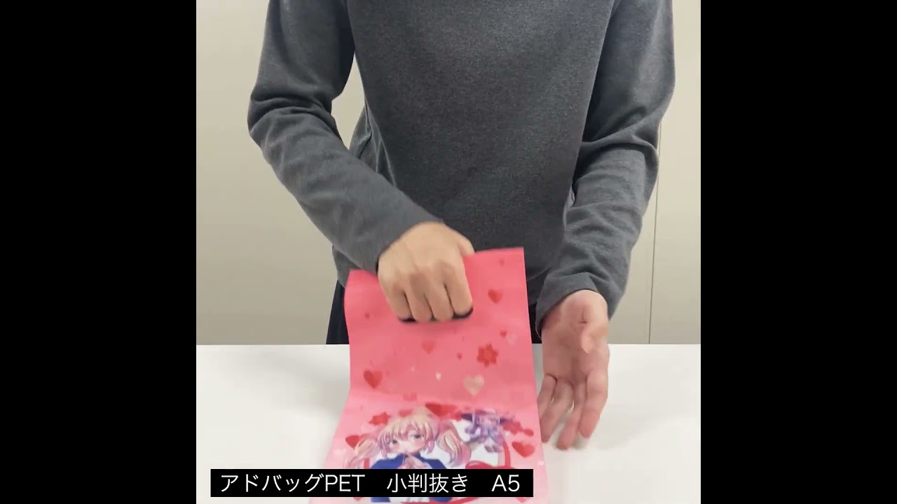 名入れ対応｜フルカラー】不織布アドバッグPET 小判抜き A5サイズ｜100枚入