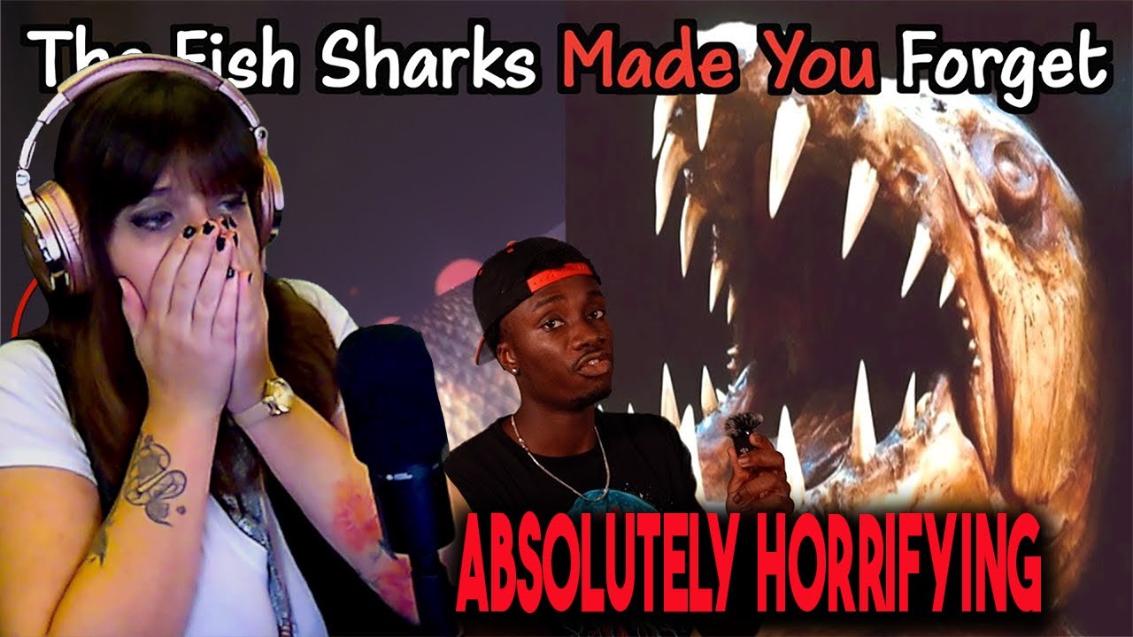 *Absolutely HORRIFYING* Why These Fish Belong in a Horror Movie More Than Sharks-Casual Geographic