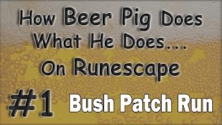 Runescape Bush Patch Farm Run