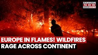 Europe Is Burning! Wildfires Rage Across France, Spain, Croatia, Germany, Over 250,000 Displaced