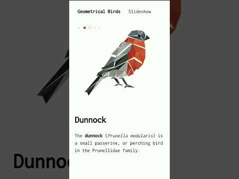 birds info using