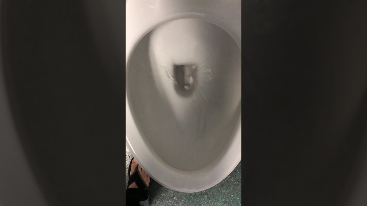 ProFlo Toilet Flushing YouTube