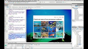 (20/41) Linking Thumbnails to Images